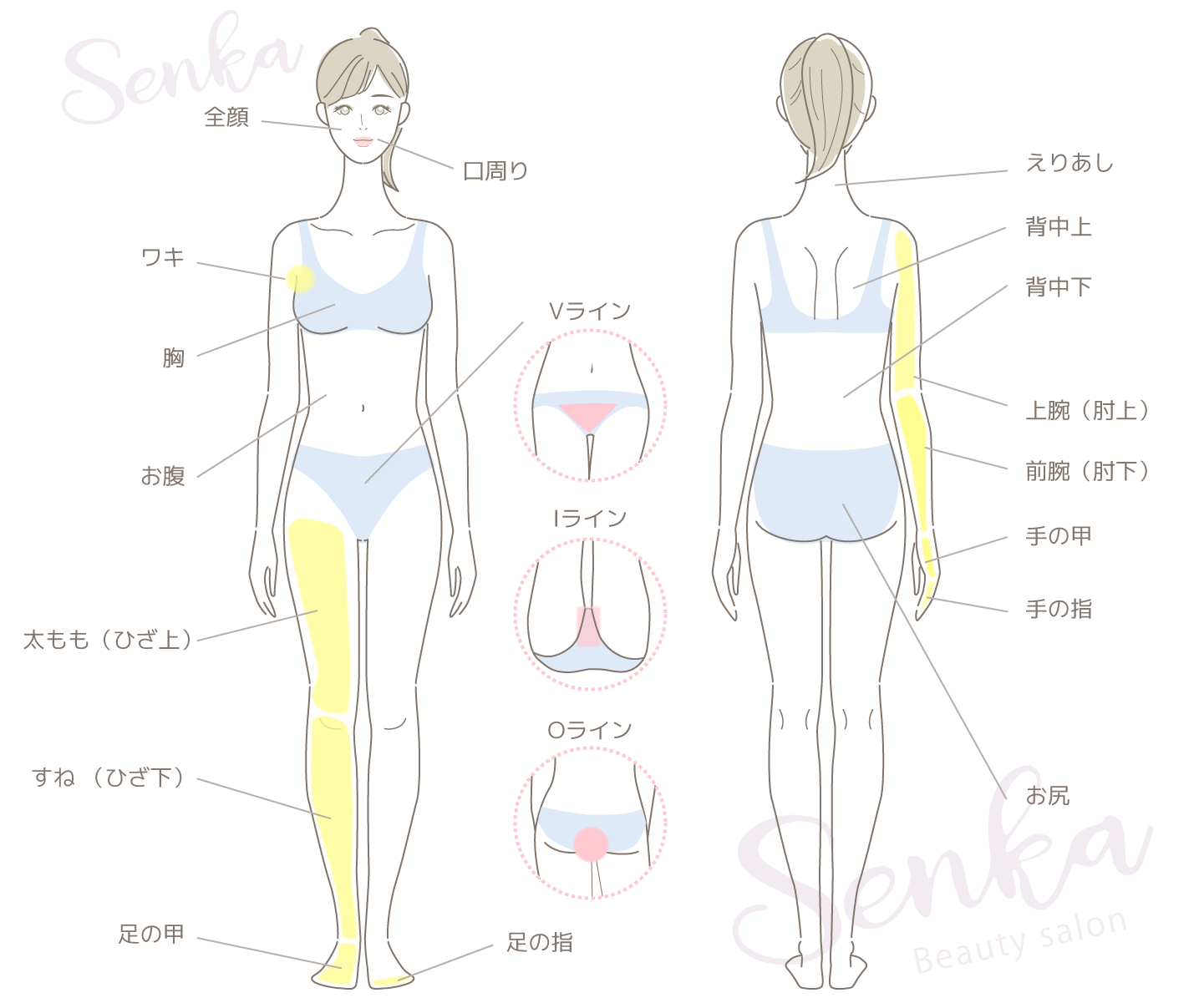 脱毛部位別の表